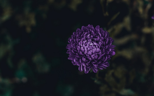 1438254 (a): :2560x1600